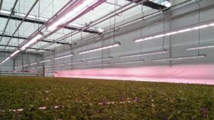 3 Steps to Improving the Efficiency of Your LED Systems