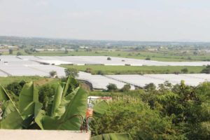 Vivero Internacional