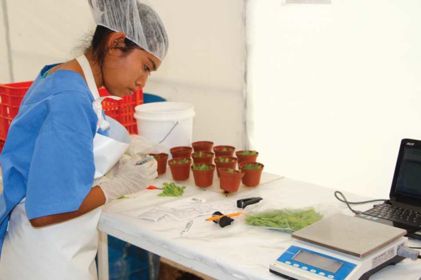 Vivero Internacional