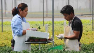 AmericanHort Earns Victory on H-2B, But Border Shutdown Threat Looms