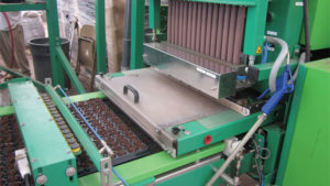 Maximize Your  Labor Efficiency When Sticking Plant Cuttings