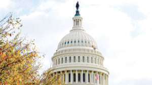 Trump Administration and Floriculture: Labor and Tariff Policy Updates