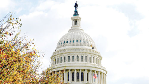 Trump Administration and Floriculture: Checking in on Budget Proposals and Tariffs