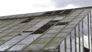 How to Deal With Common Greenhouse Maintenance Issues