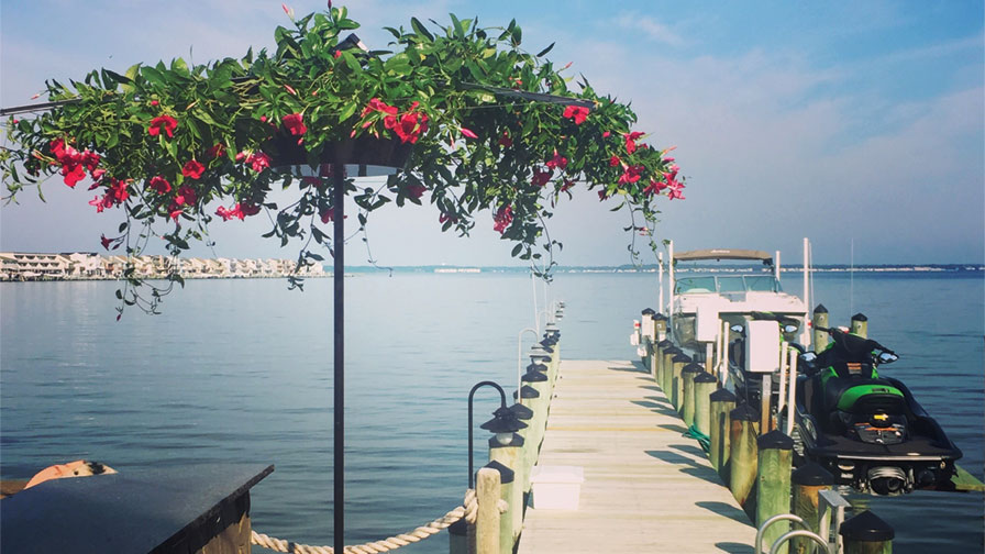 Cultivate New Customers: Seek Out Unique Products