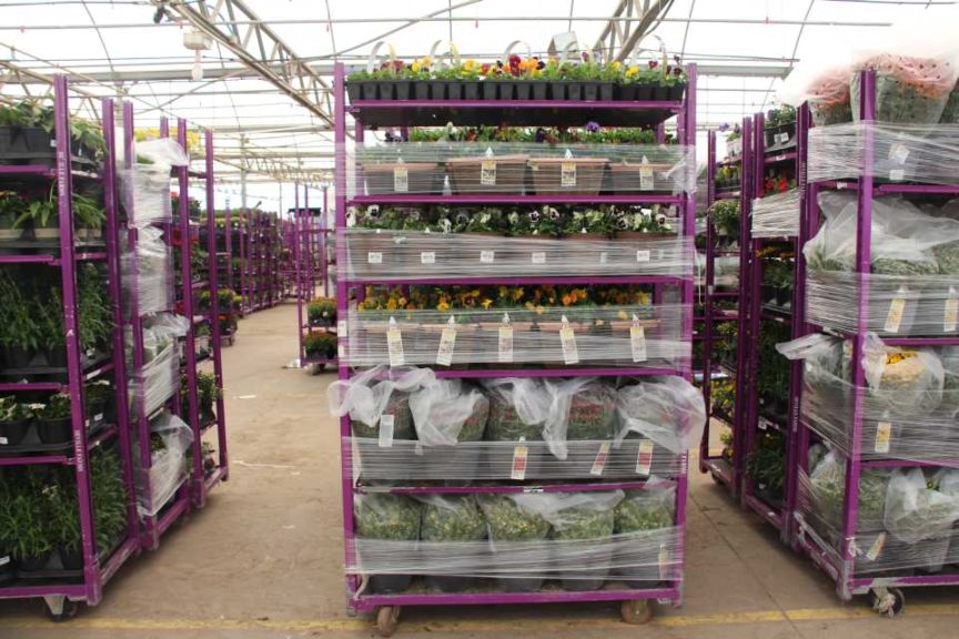 #1: Why Top 100 Grower Seville Farms Is Selling its Assets