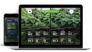 How Artificial Intelligence Can Help Close the Loop in Greenhouse Production