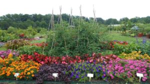 Top Greenhouse Growers Make Major Research Investment