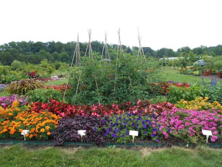 2017 Cornell University Field Trials