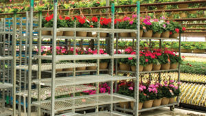 How RFID Technology Can Help With Plant Cart Tracking