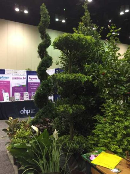 Creative Ornamental Topiaries (Harrell’s Nursery, Inc.)