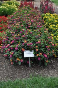 2017 Colorado State University Field Trials