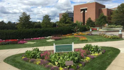 Register Now for Michigan State’s Next Round of Online Greenhouse Education
