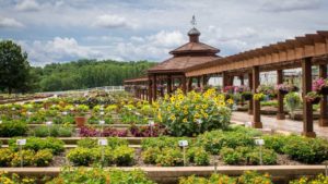 2017 Metrolina Greenhouses Field Trial Results