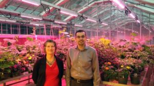 Michigan State Partners With Philips Lighting to Modernize On-Campus Greenhouses