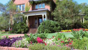 A Quick Look at Sakata’s Clemson Landscape Trial