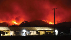 Southern California Wildfires Narrowly Miss Most Grower Operations