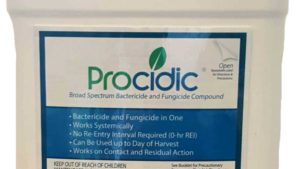 New Fungicide Helps Control Mildews and Rot in Ornamentals