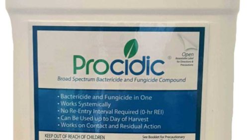 New Fungicide Helps Control Mildews and Rot in Ornamentals
