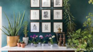 Why Millennials Can’t Get Their Fill of Foliage Plants and Tropicals