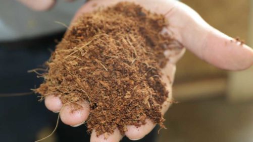UK Horticulture Industry Highlights Harsh Effects of Potential Peat Ban