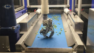 Evaluating Robotic Transplanters for Plant Cuttings