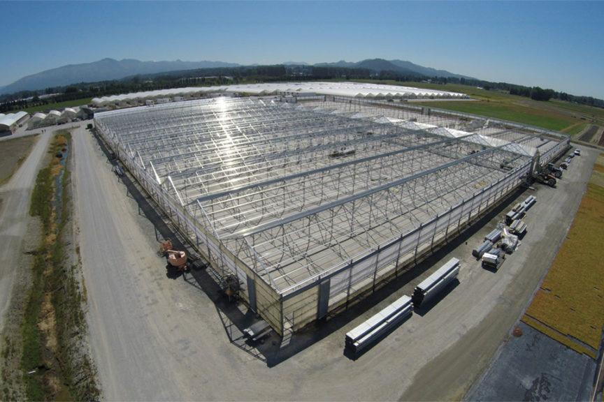 Skagit Horticulture Has a Fresh New Start