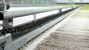 Greens Production Goes High-Tech at lēf Farms