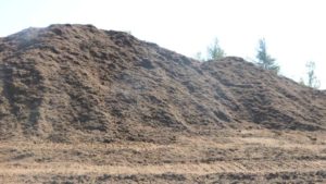 Peat Moss Industry Focused on Long-Term Sustainability
