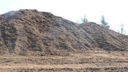 Peat Moss Industry Focused on Long-Term Sustainability