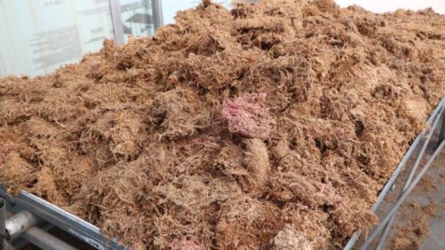 European Substrate Manufacturers Offer Ominous Raw Materials Outlook