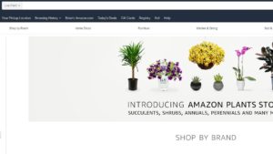 The Latest on Amazon’s Online Plant Store