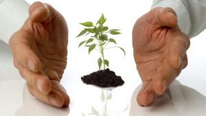 Engage Agro Now Doing Business as Belchim Crop Protection