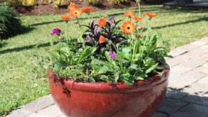 Tariff Hike on Floriculture Hard Goods From China Delayed