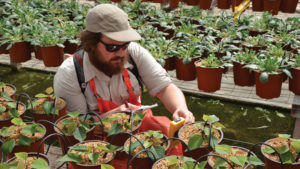 How to Measure Greenhouse Light With Quantum Meters