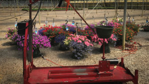 Self-Designed Hanging Basket Trimmer at Kube-Pak Saves Time, Money