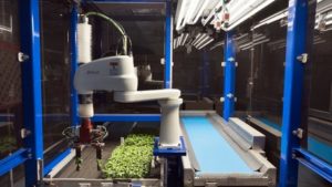 ISO Group Debuting New Cutting and Transplanting Machine at IPM Essen