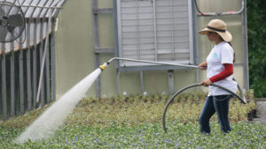 A Refresher on Dealing With Drought Conditions