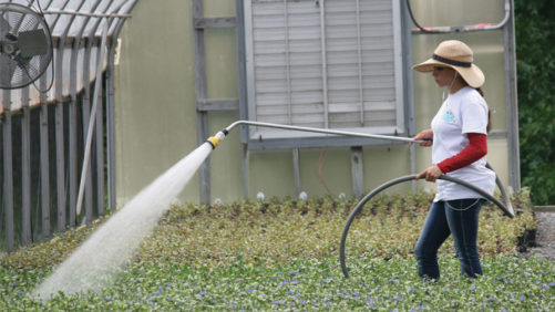 A Refresher on Dealing With Drought Conditions