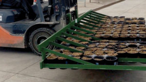 Automation Never Stops, Even for the Biggest Growers