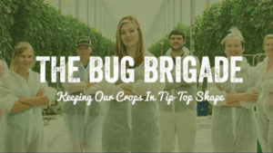 Don’t Miss Opportunities to Market Your Biocontrol Program