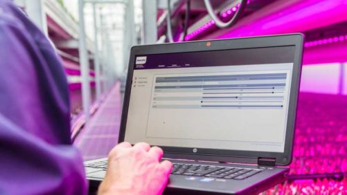 Philips Lighting Debuts New Custom Lighting Program at IPM Essen