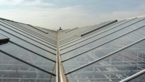 HortAmericas Offering New Shading Products to Help With Greenhouse Light Management