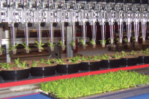 Urbinati RW Transplanter Series (AgriNomix)