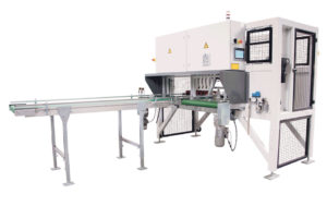 Visser Blueline (Bellpark Horticulture/Visser NA)