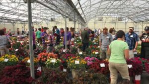 2017 Welby Gardens Field Trials Results