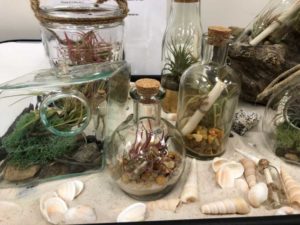 Assorted-Decorative-“Message-in-a-Bottle”-Eve’s-Garden-Inc.