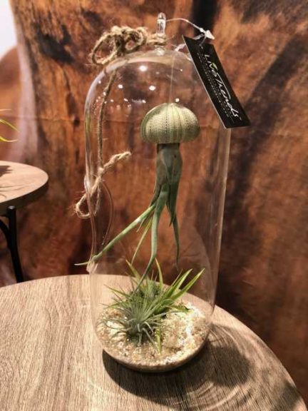 Cousteau Planter (LiveTrends Designs Group, LLC/MAK USA Inc.)