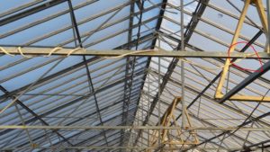 3 Greenhouse Risk and Insurance Trends to Watch in 2022