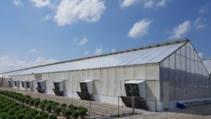 Don’t Forget About Greenhouse Maintenance This Spring